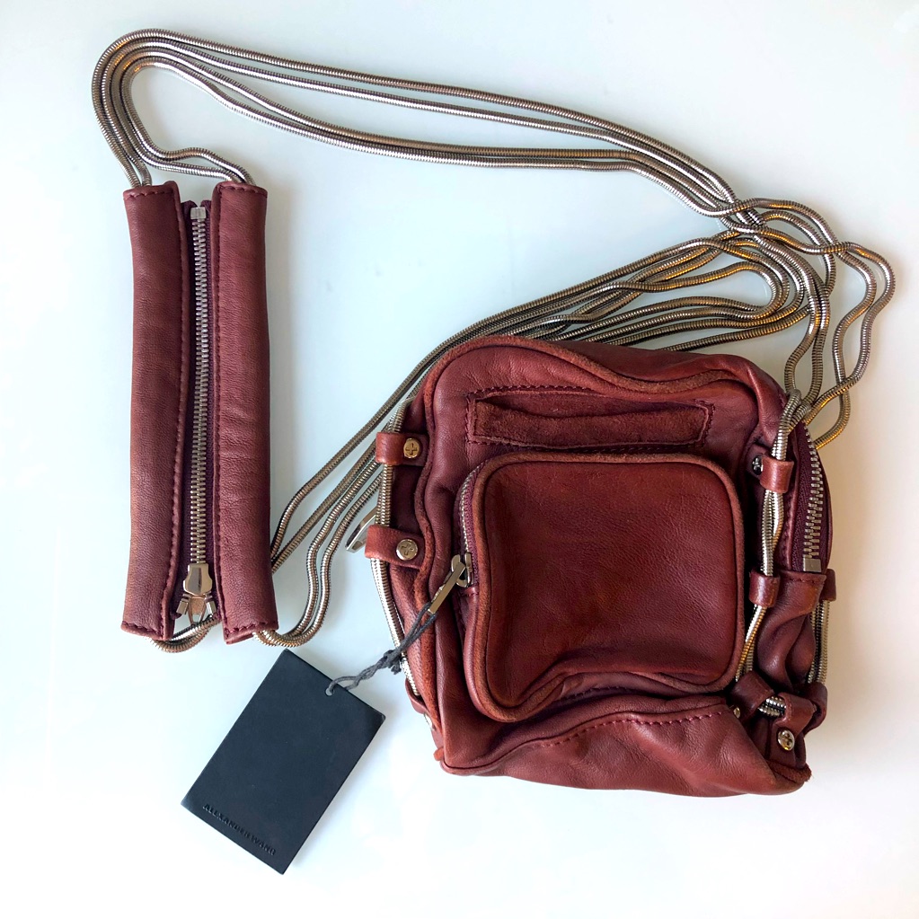 Alexander Wang Mini Brenda Camera Bag In Brick
